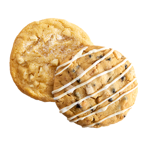 KK_LEMON CRINKLE & BLUEBERRY CHEESSECAKE